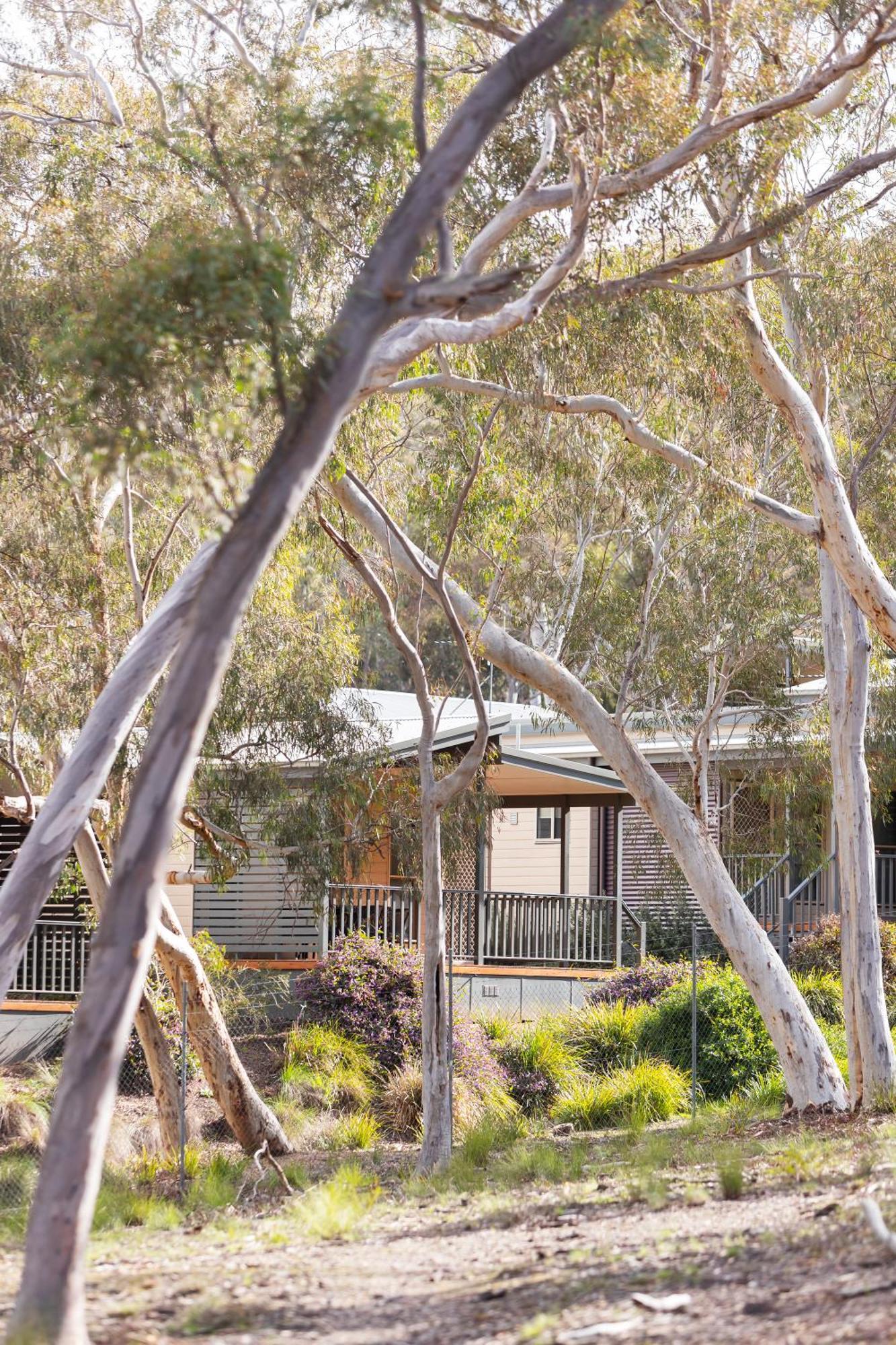 Alivio Tourist Park Canberra Bagian luar foto