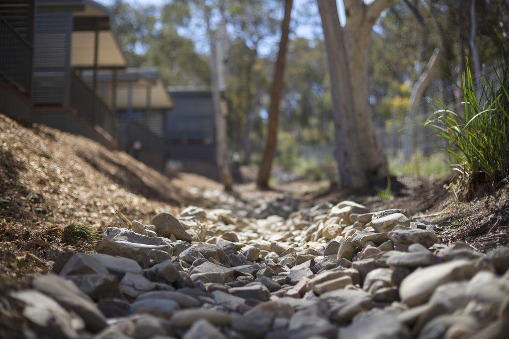 Alivio Tourist Park Canberra Bagian luar foto
